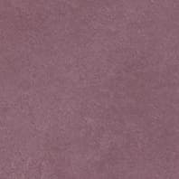 SPECTRA WINE