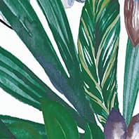 TROPICAL VIVA POSTER A Tiles