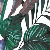TROPICAL VIVA POSTER A Tiles