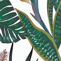 TROPICAL VIVA POSTER B