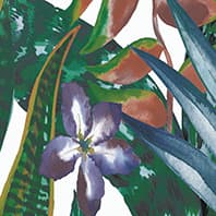 TROPICAL VIVA POSTER B Tiles