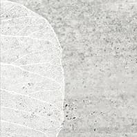 SENSE SLATE