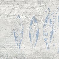 SENSE SLATE