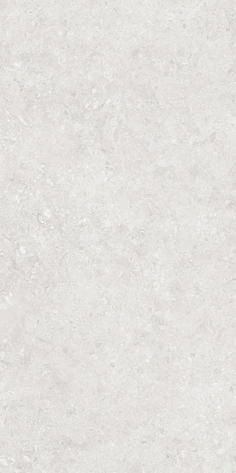 ONEGA SILVER