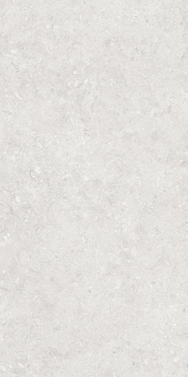 ONEGA SILVER tiles