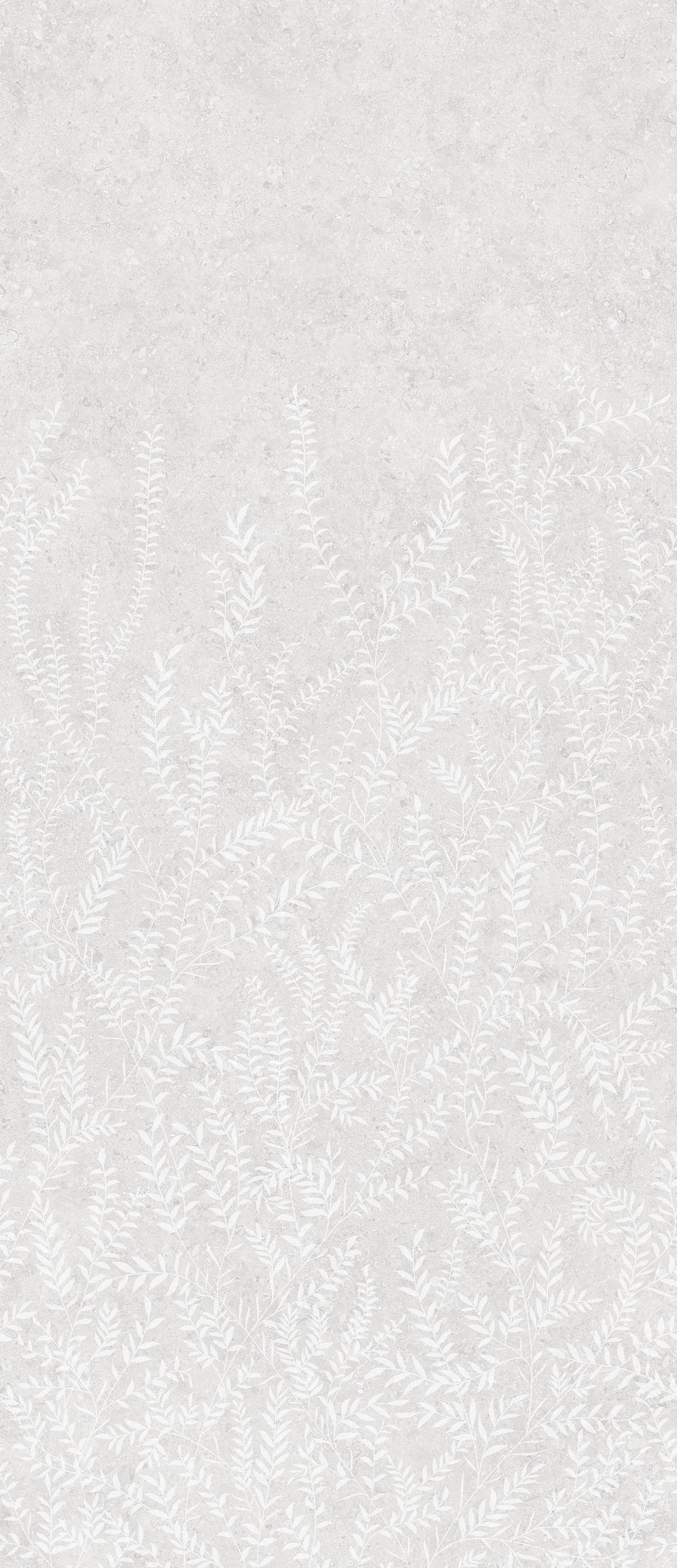 FERN