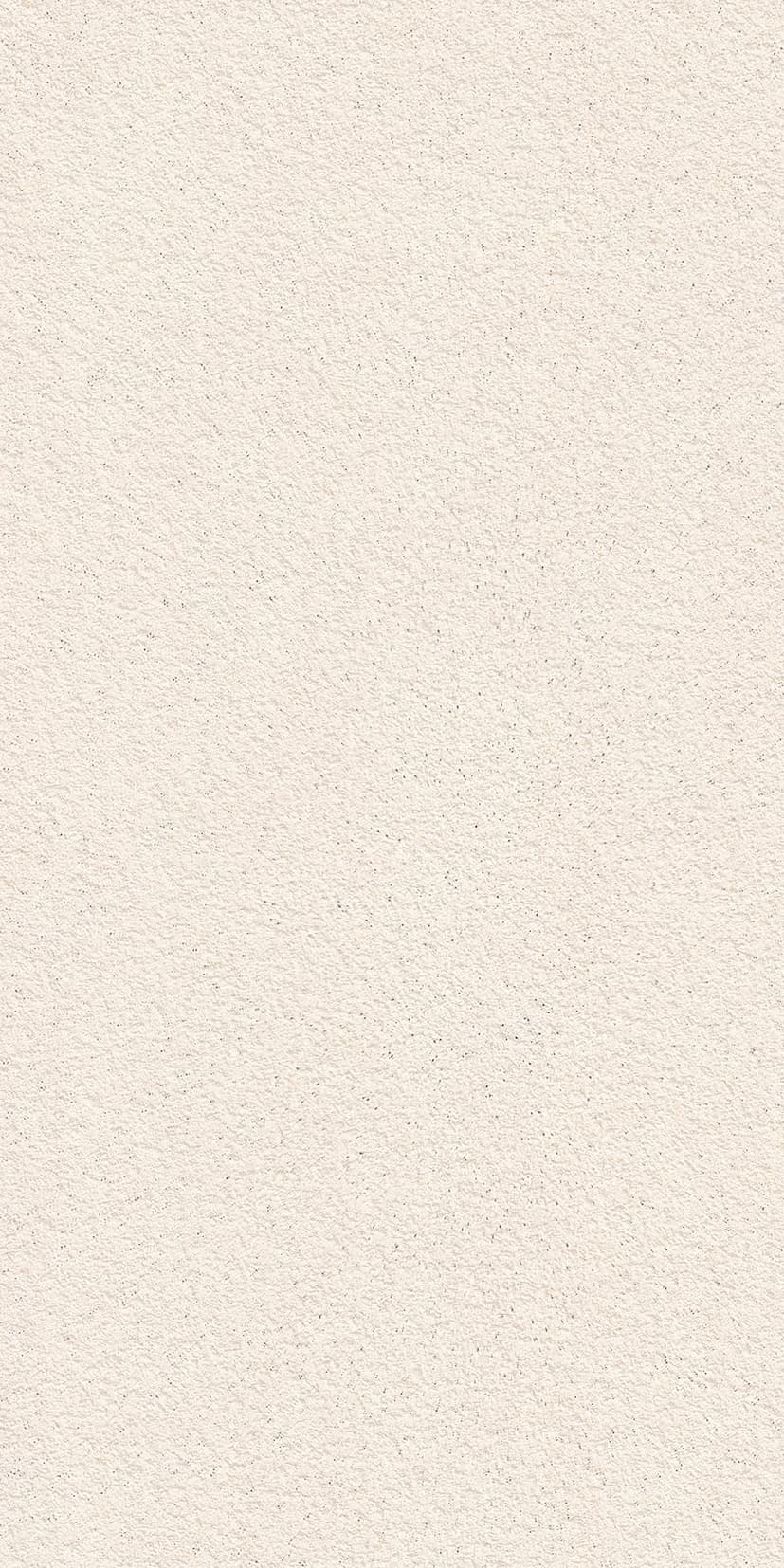 ALCHIMIA SHELL RAW TEXTURE