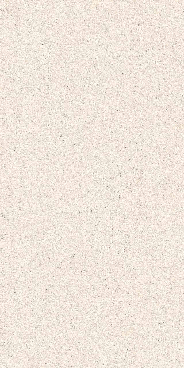 ALCHIMIA SHELL RAW TEXTURE