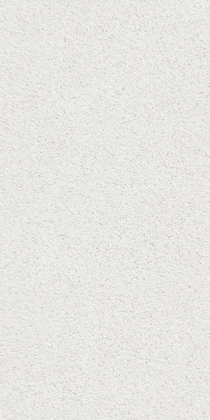 ALCHIMIA PEARL RAW TEXTURE
