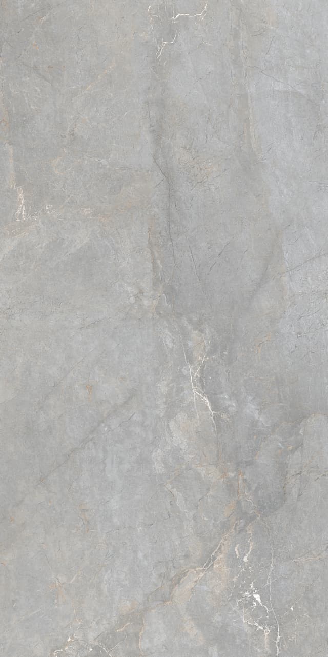 SAVONA GREY tiles