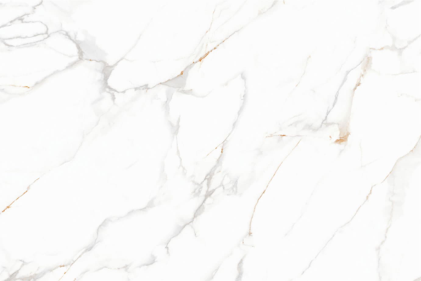 ROMAN WHITE