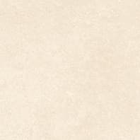 SPECTRA PEANUT Tiles