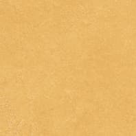 SPECTRA MUSTARD