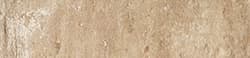 TRUNK BEIGE