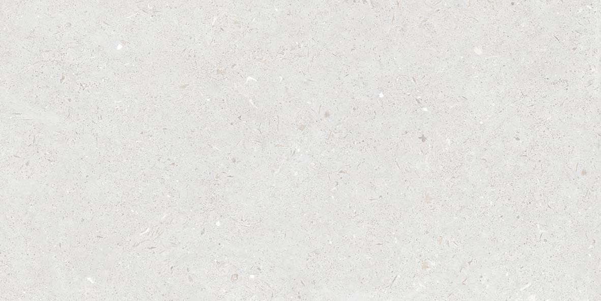 FOSSIL BIANCO
