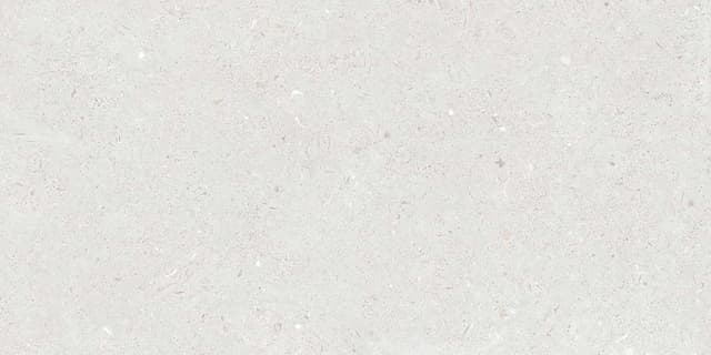 FOSSIL BIANCO