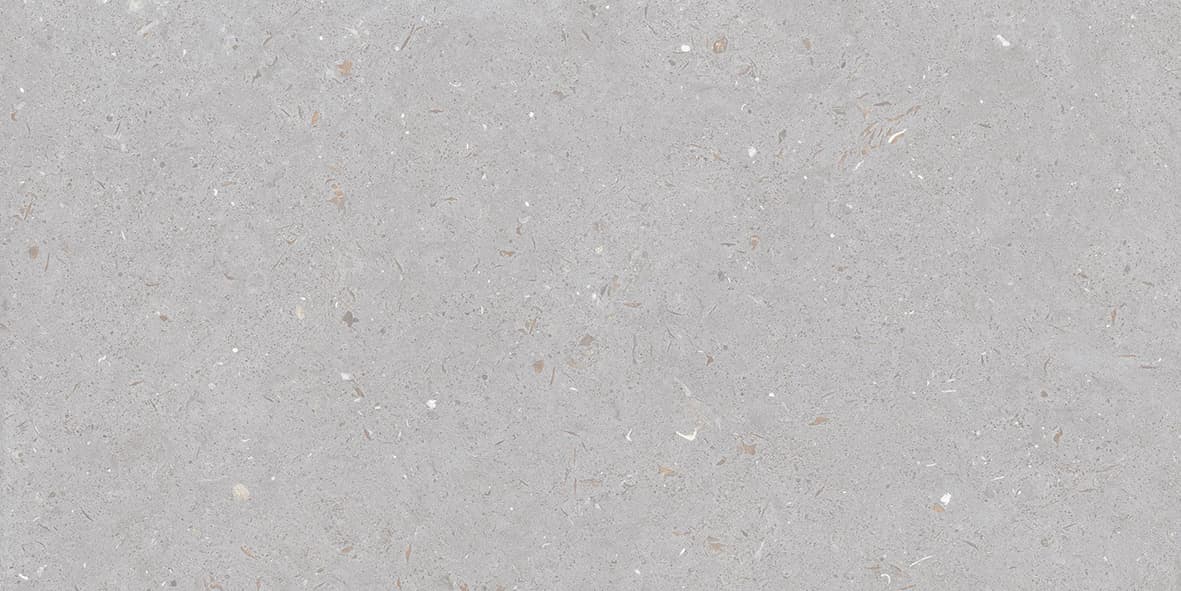 FOSSIL DOVE