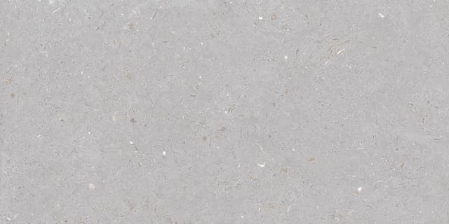FOSSIL DOVE
