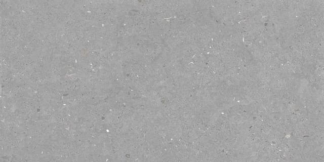 FOSSIL GREY