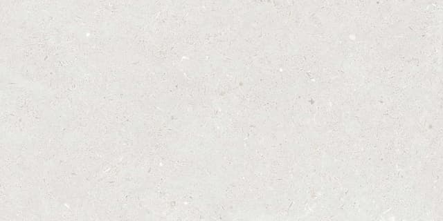 FOSSIL SILVER tiles