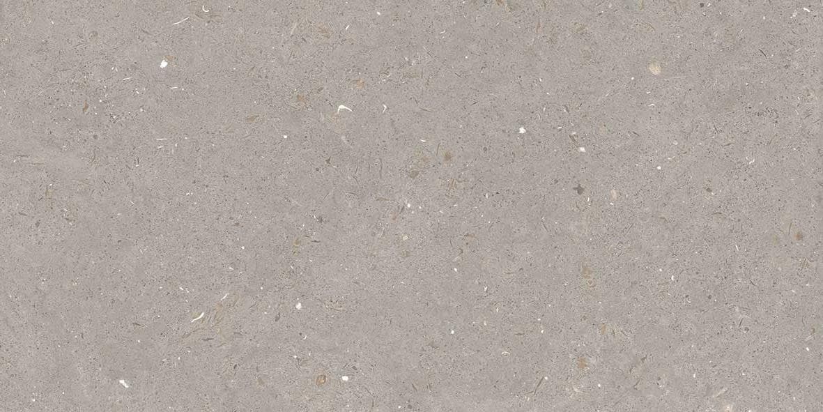FOSSIL MUD