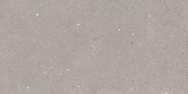 FOSSIL MUD