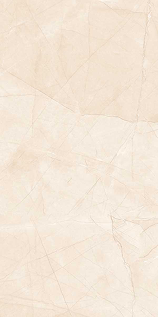 PROZZO 1163