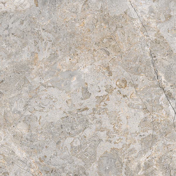 TRACIA ASH Tiles