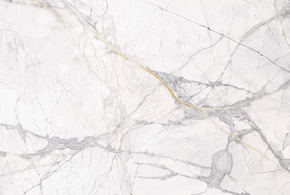 COSMOS WHITE