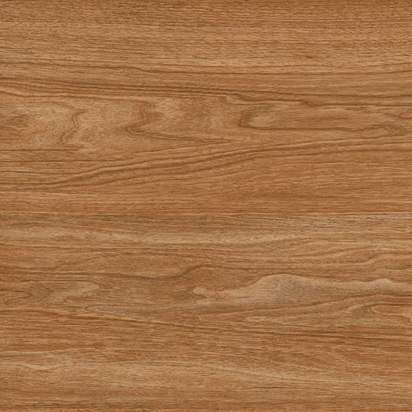 FOREST WOOD