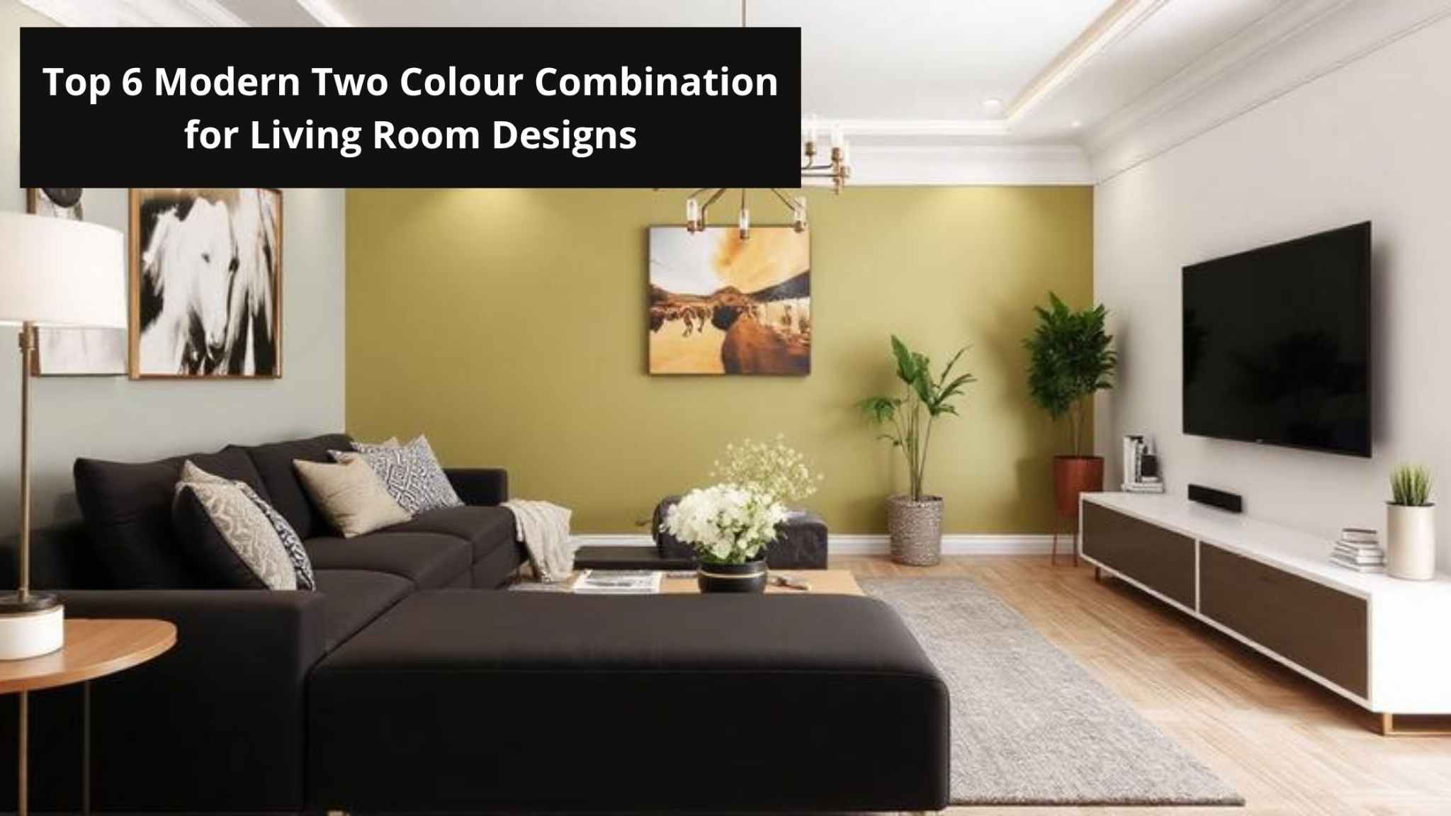 Top 6 Modern Two Colour Combination for Living Room Designs