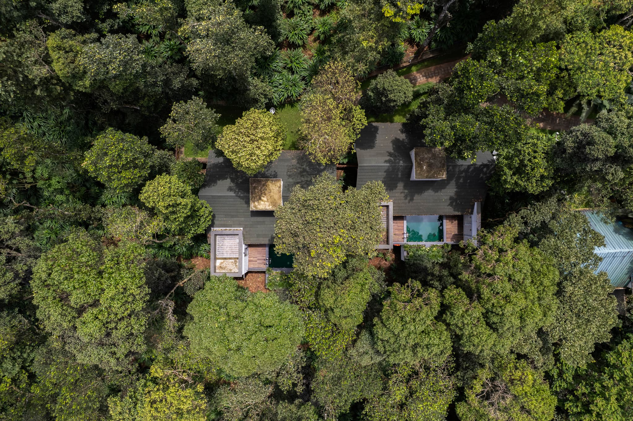 Reen Resorts Where Kerala's Nature and Luxury Find Their Perfect Balance Tiles
