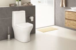 EWC Western Toilet & Commode Designs for Modern Bathrooms